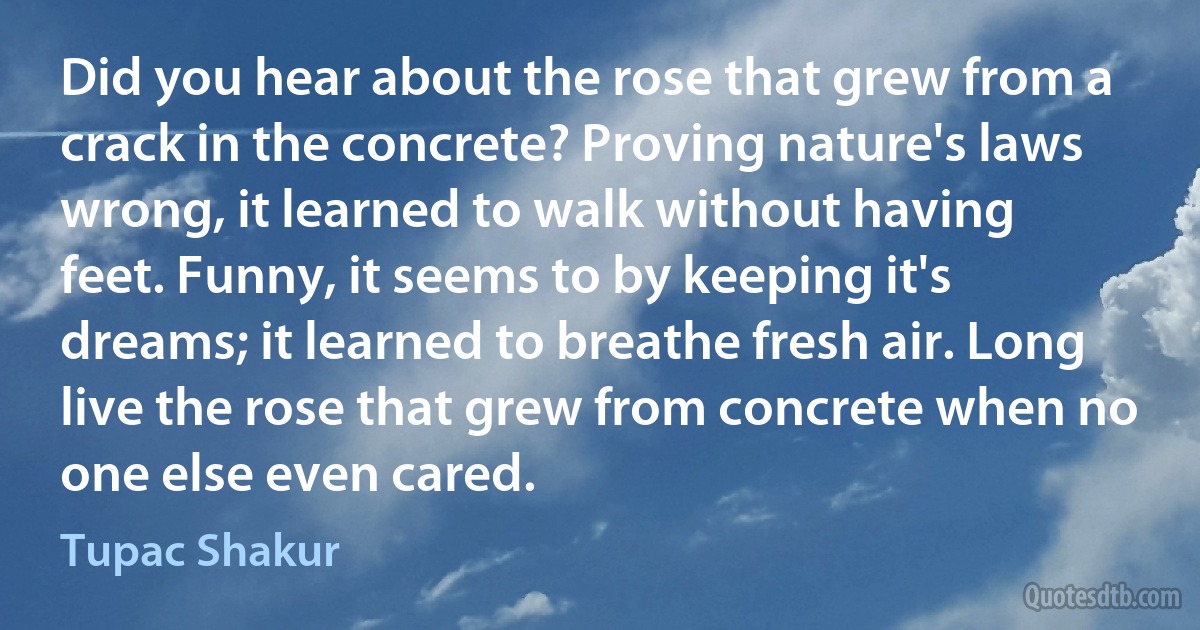 Did you hear about the rose that grew from a crack in the concrete? Proving nature's laws wrong, it learned to walk without having feet. Funny, it seems to by keeping it's dreams; it learned to breathe fresh air. Long live the rose that grew from concrete when no one else even cared. (Tupac Shakur)