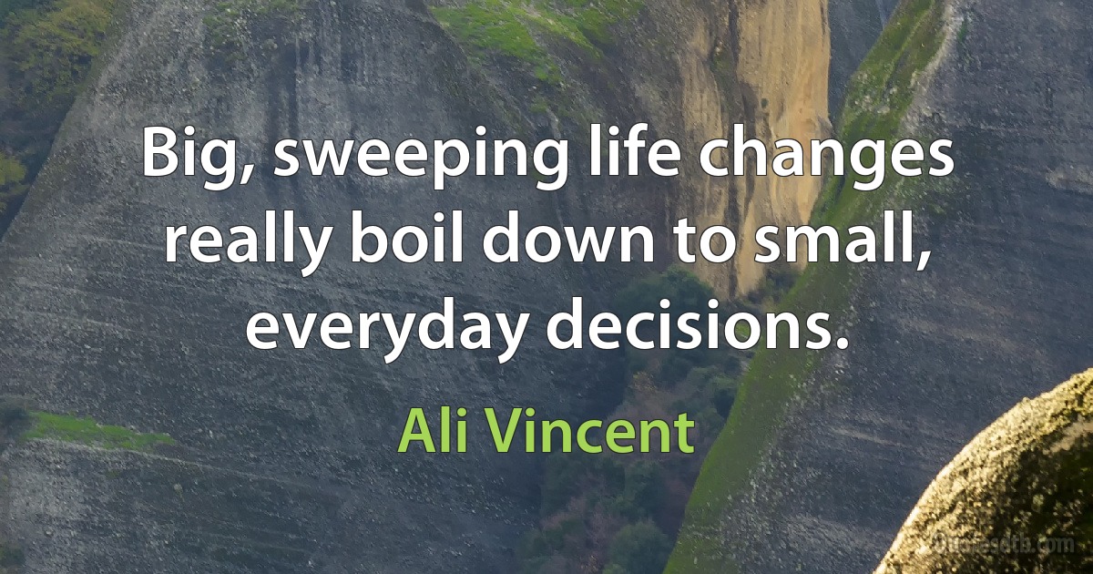 Big, sweeping life changes really boil down to small, everyday decisions. (Ali Vincent)