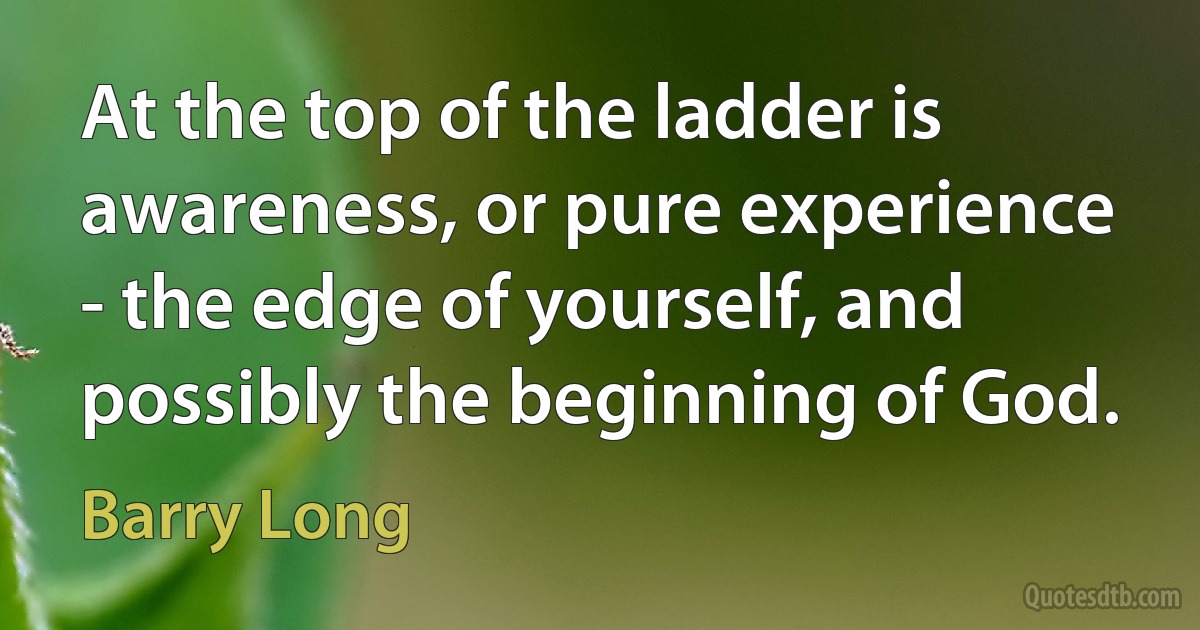 At the top of the ladder is awareness, or pure experience - the edge of yourself, and possibly the beginning of God. (Barry Long)