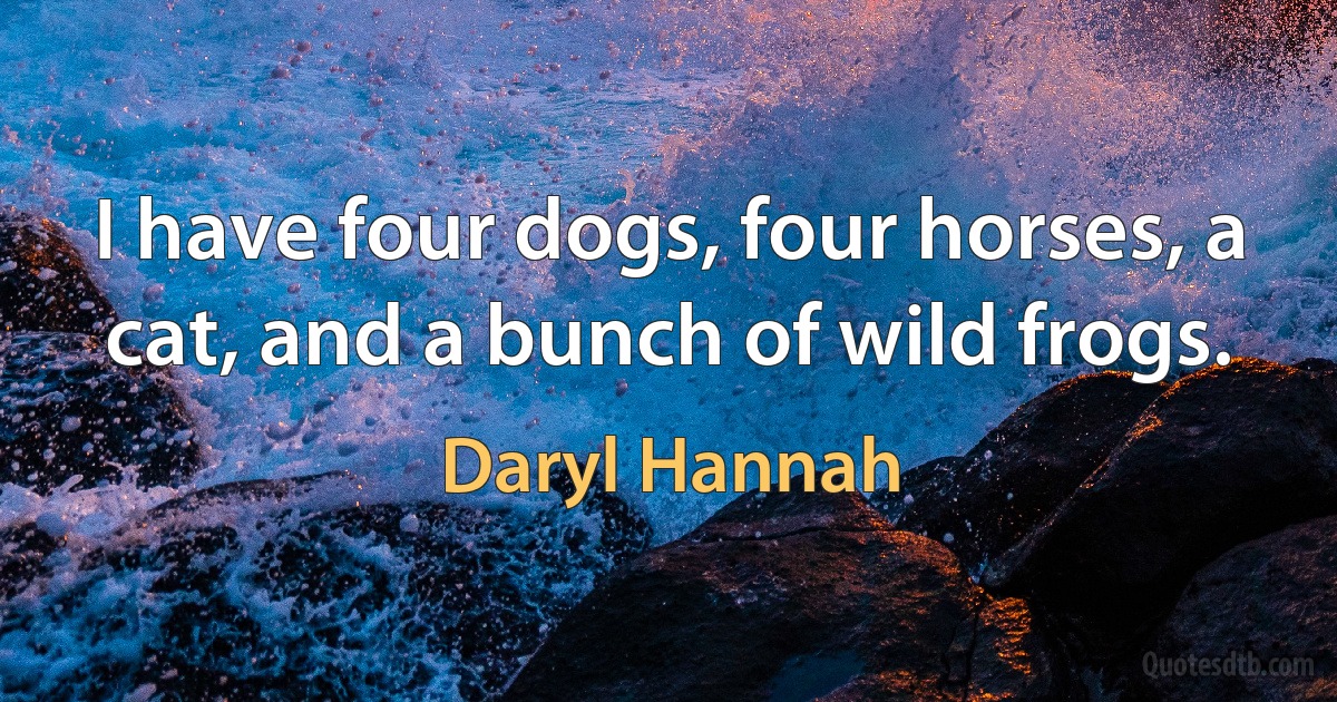 I have four dogs, four horses, a cat, and a bunch of wild frogs. (Daryl Hannah)