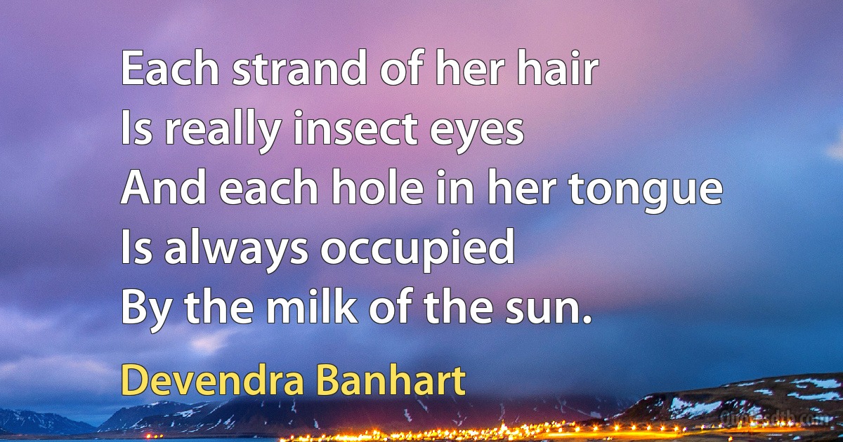 Each strand of her hair
Is really insect eyes
And each hole in her tongue
Is always occupied
By the milk of the sun. (Devendra Banhart)