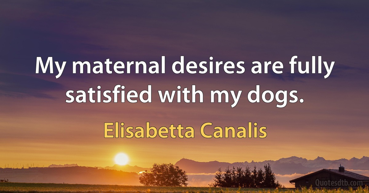 My maternal desires are fully satisfied with my dogs. (Elisabetta Canalis)