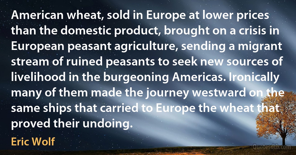 American wheat, sold in Europe at lower prices than the domestic product, brought on a crisis in European peasant agriculture, sending a migrant stream of ruined peasants to seek new sources of livelihood in the burgeoning Americas. Ironically many of them made the journey westward on the same ships that carried to Europe the wheat that proved their undoing. (Eric Wolf)