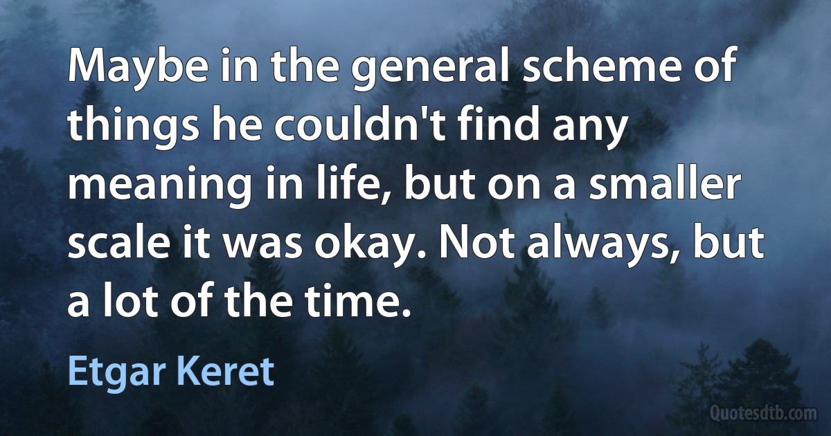 Maybe in the general scheme of things he couldn't find any meaning in life, but on a smaller scale it was okay. Not always, but a lot of the time. (Etgar Keret)