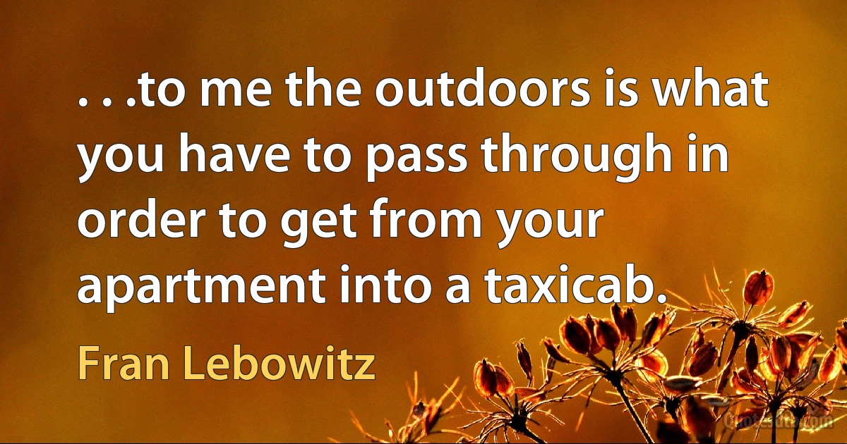 . . .to me the outdoors is what you have to pass through in order to get from your apartment into a taxicab. (Fran Lebowitz)