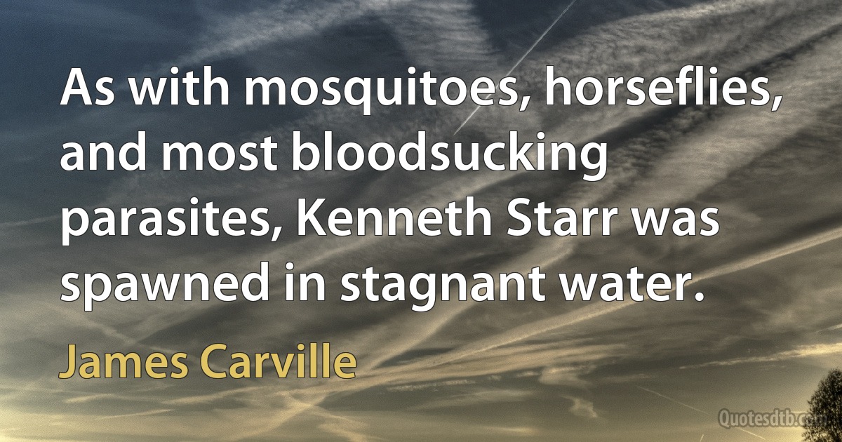 As with mosquitoes, horseflies, and most bloodsucking parasites, Kenneth Starr was spawned in stagnant water. (James Carville)