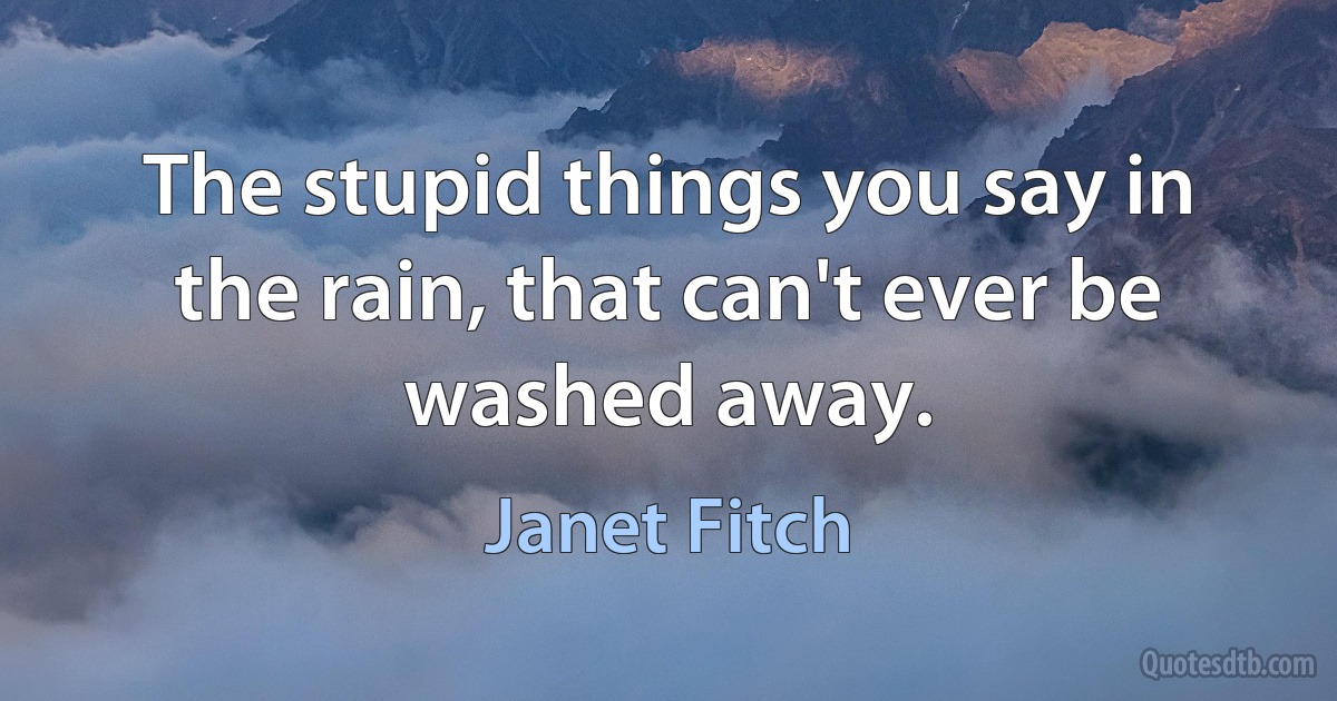 The stupid things you say in the rain, that can't ever be washed away. (Janet Fitch)