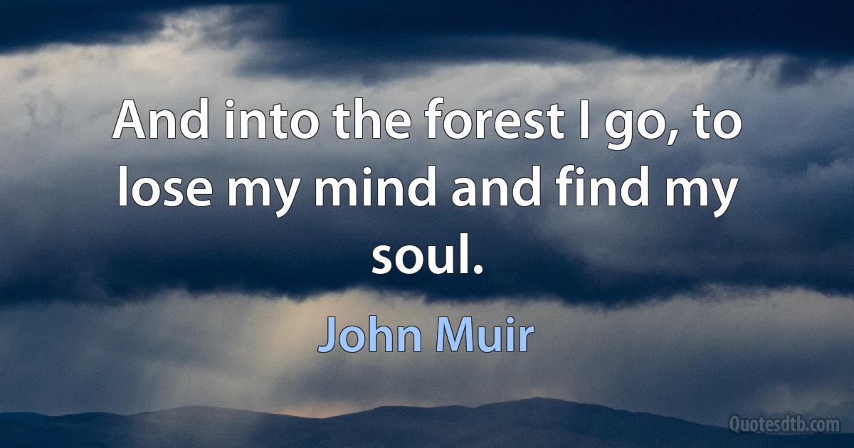 And into the forest I go, to lose my mind and find my soul. (John Muir)