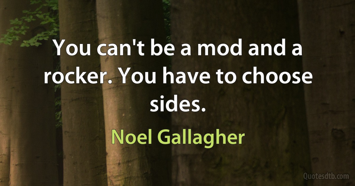 You can't be a mod and a rocker. You have to choose sides. (Noel Gallagher)