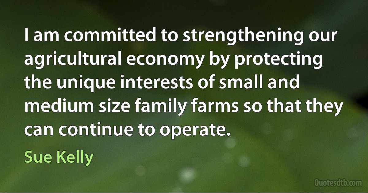 I am committed to strengthening our agricultural economy by protecting the unique interests of small and medium size family farms so that they can continue to operate. (Sue Kelly)