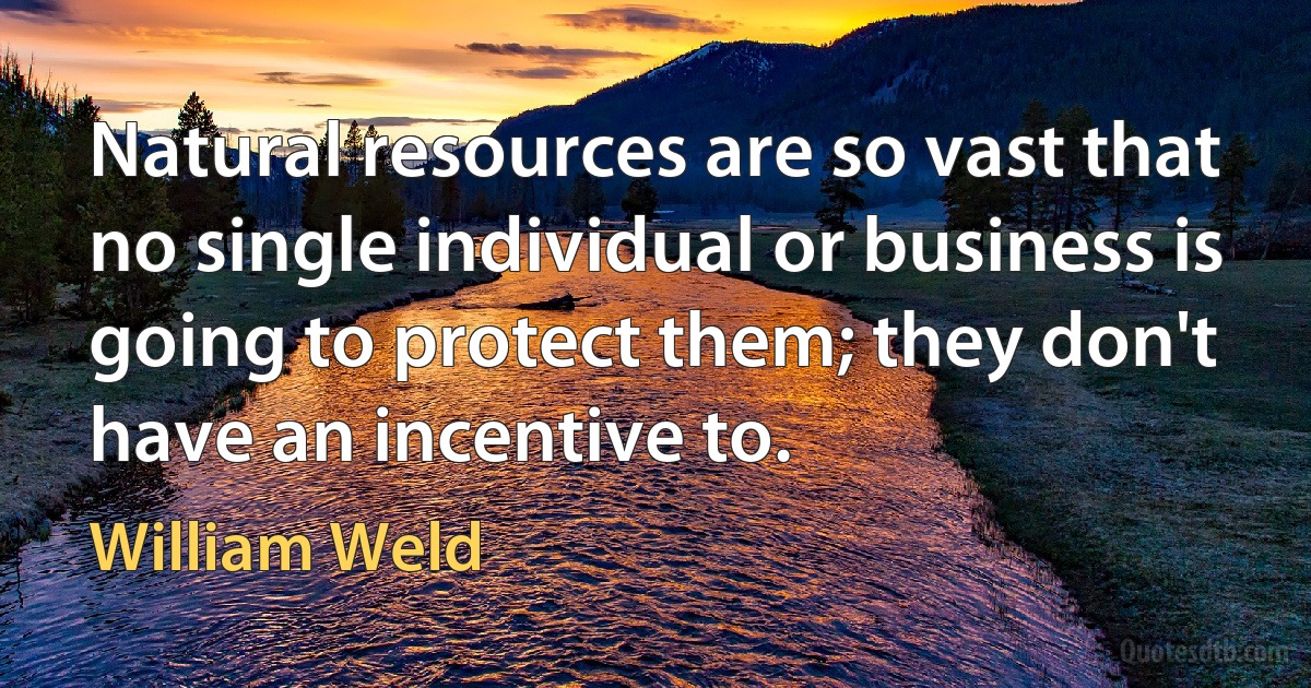 Natural resources are so vast that no single individual or business is going to protect them; they don't have an incentive to. (William Weld)