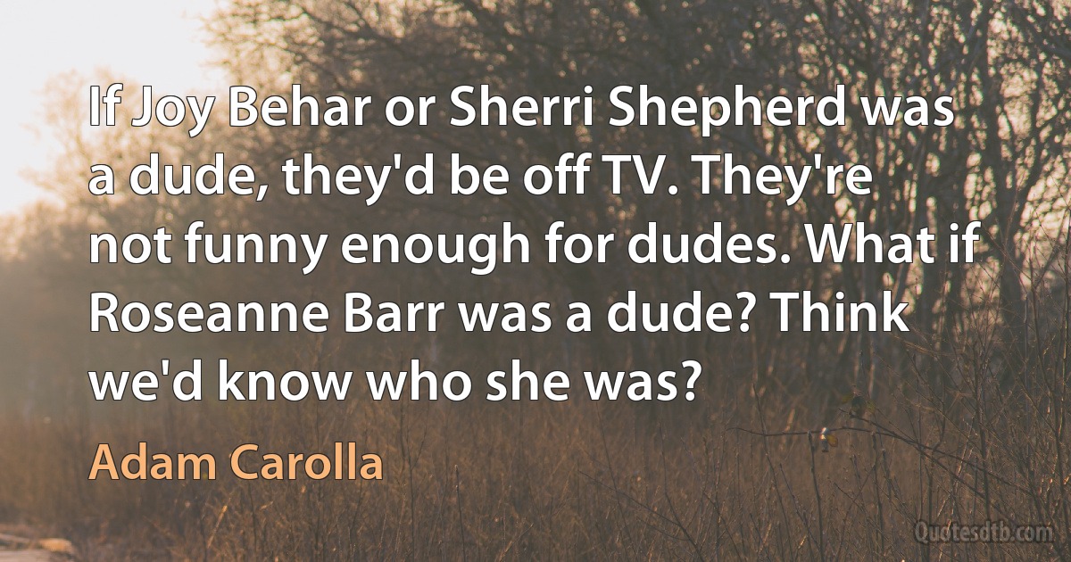 If Joy Behar or Sherri Shepherd was a dude, they'd be off TV. They're not funny enough for dudes. What if Roseanne Barr was a dude? Think we'd know who she was? (Adam Carolla)