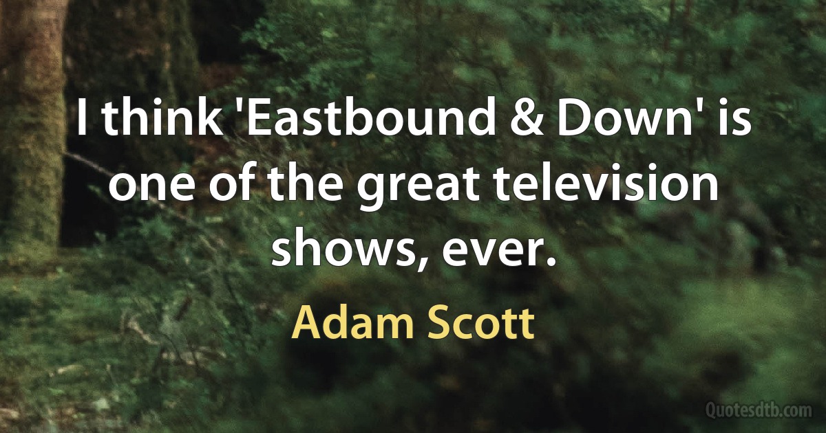 I think 'Eastbound & Down' is one of the great television shows, ever. (Adam Scott)