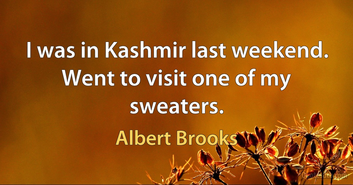 I was in Kashmir last weekend. Went to visit one of my sweaters. (Albert Brooks)