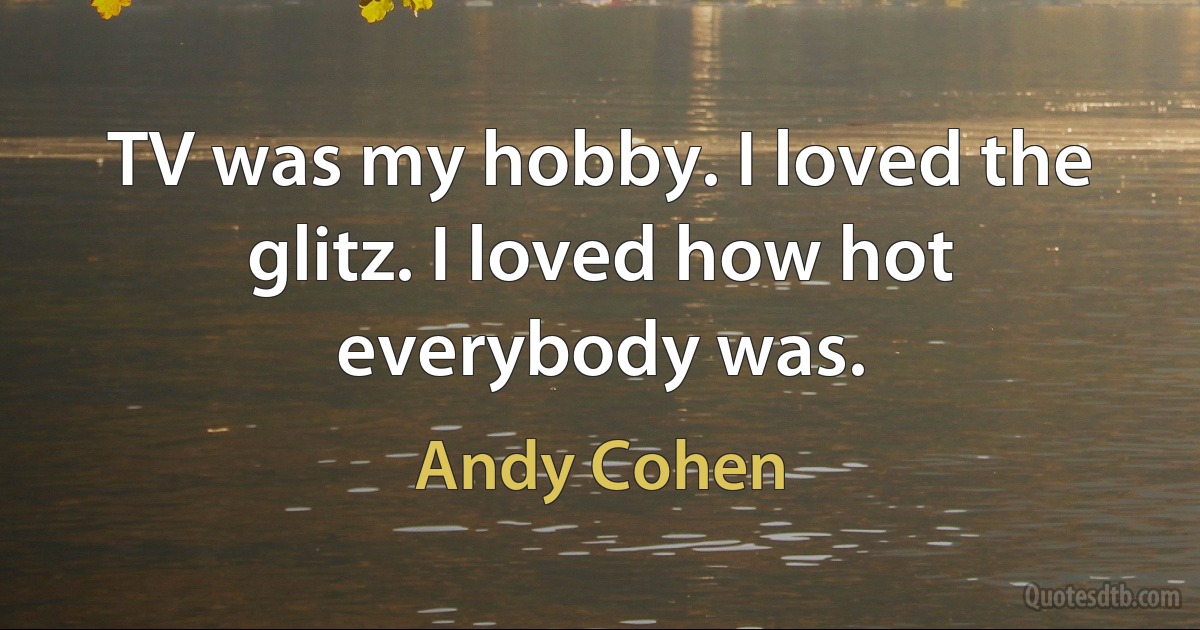 TV was my hobby. I loved the glitz. I loved how hot everybody was. (Andy Cohen)