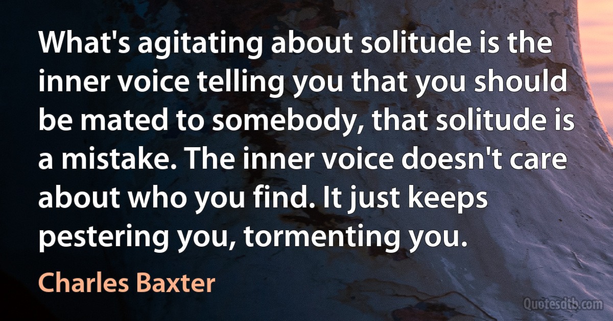 What's agitating about solitude is the inner voice telling you that you should be mated to somebody, that solitude is a mistake. The inner voice doesn't care about who you find. It just keeps pestering you, tormenting you. (Charles Baxter)