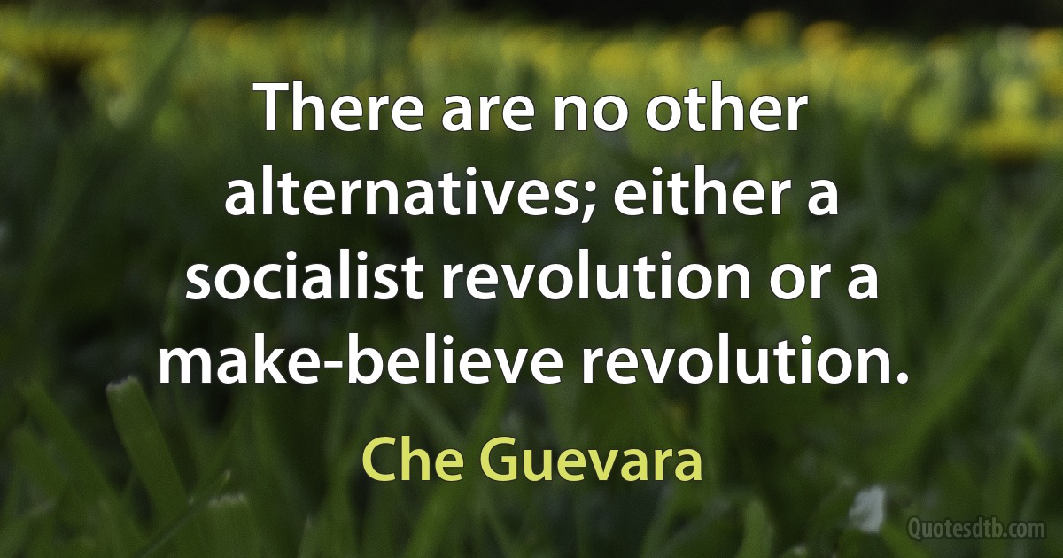 There are no other alternatives; either a socialist revolution or a make-believe revolution. (Che Guevara)