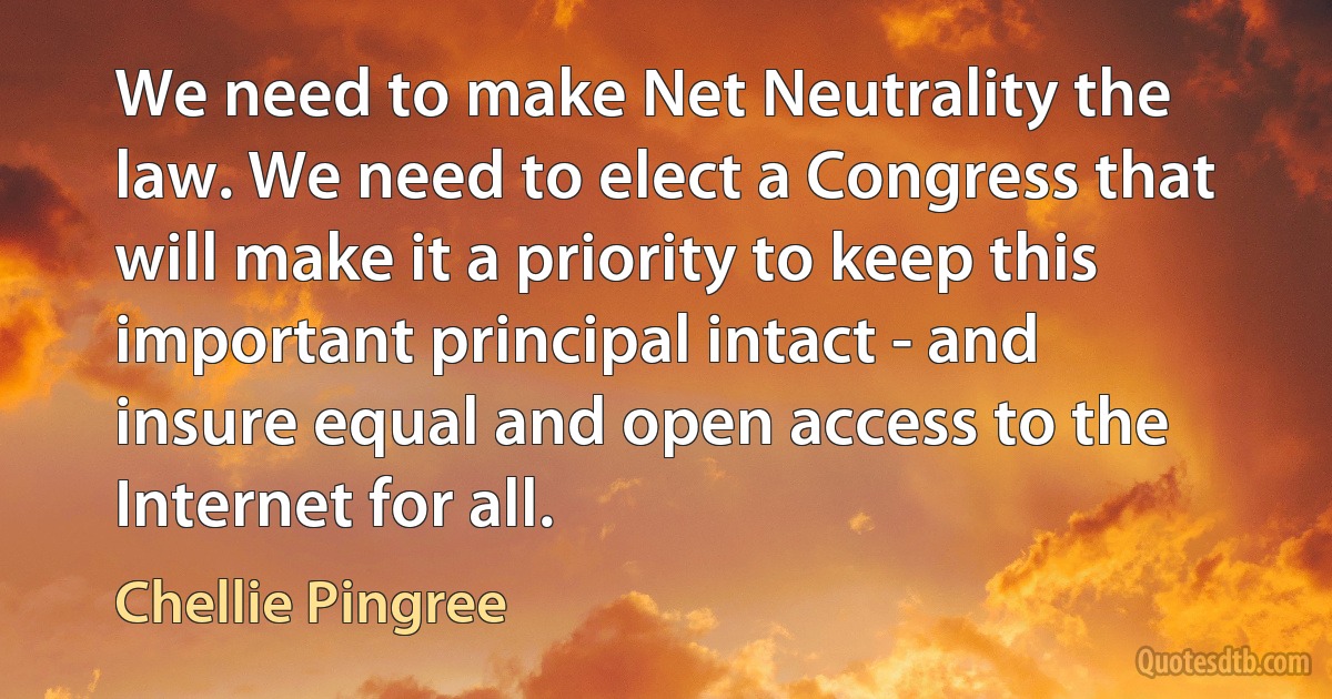 We need to make Net Neutrality the law. We need to elect a Congress that will make it a priority to keep this important principal intact - and insure equal and open access to the Internet for all. (Chellie Pingree)