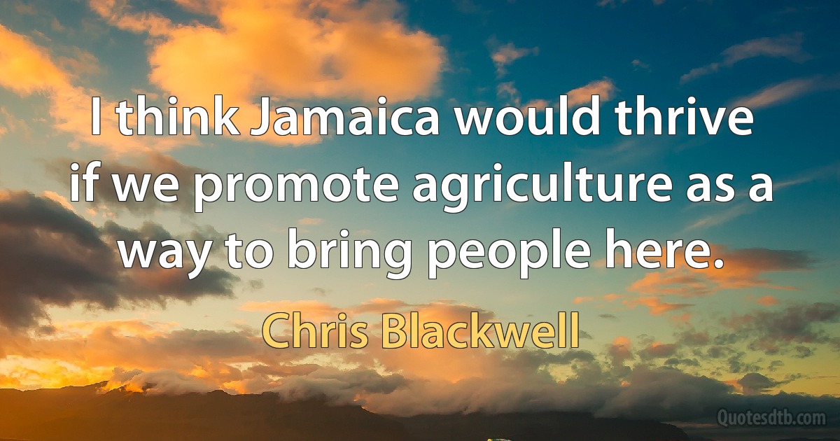 I think Jamaica would thrive if we promote agriculture as a way to bring people here. (Chris Blackwell)