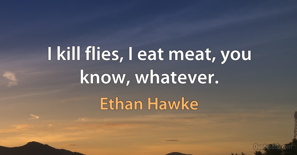 I kill flies, I eat meat, you know, whatever. (Ethan Hawke)