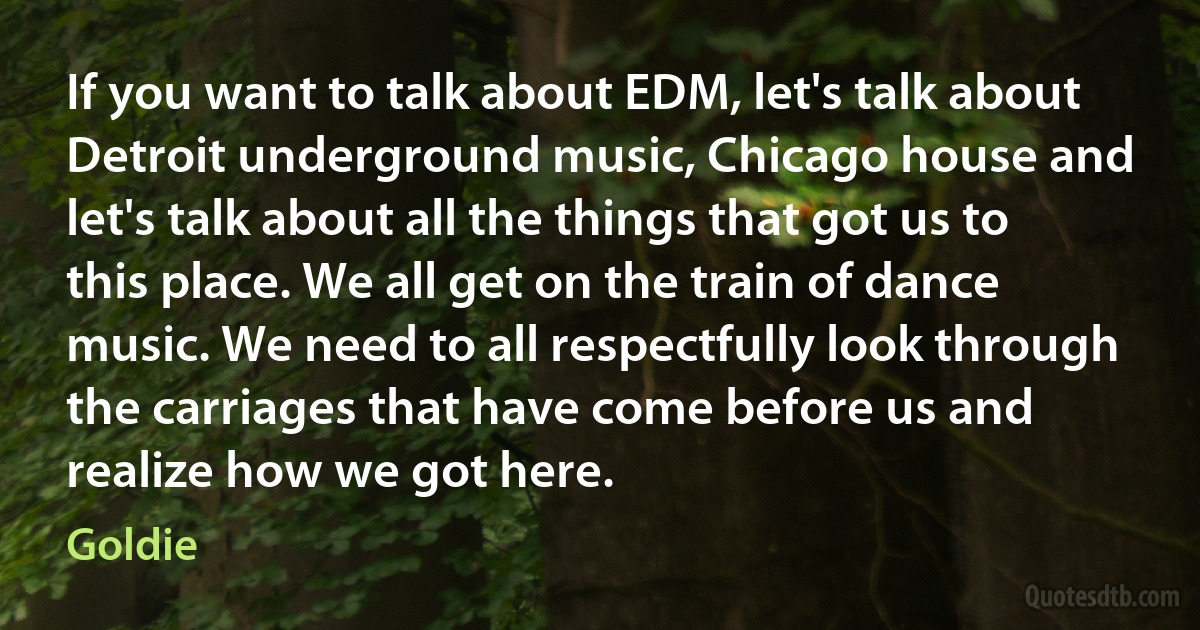 If you want to talk about EDM, let's talk about Detroit underground music, Chicago house and let's talk about all the things that got us to this place. We all get on the train of dance music. We need to all respectfully look through the carriages that have come before us and realize how we got here. (Goldie)