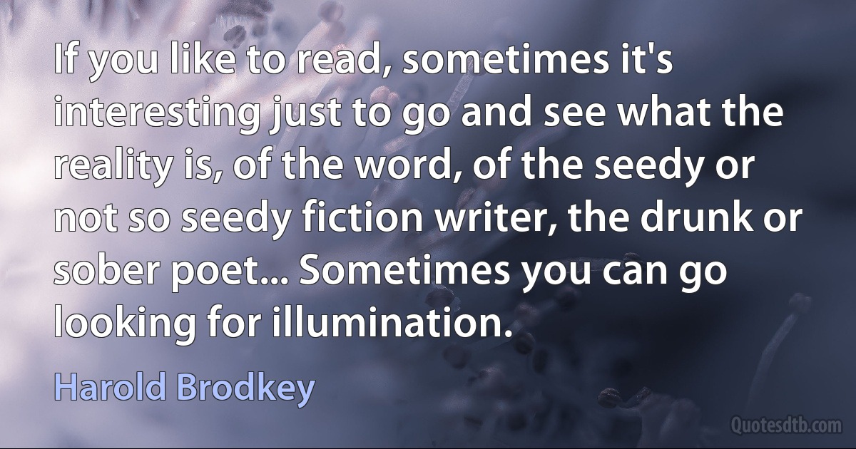 If you like to read, sometimes it's interesting just to go and see what the reality is, of the word, of the seedy or not so seedy fiction writer, the drunk or sober poet... Sometimes you can go looking for illumination. (Harold Brodkey)