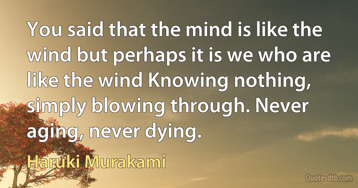 You said that the mind is like the wind but perhaps it is we who are like the wind Knowing nothing, simply blowing through. Never aging, never dying. (Haruki Murakami)