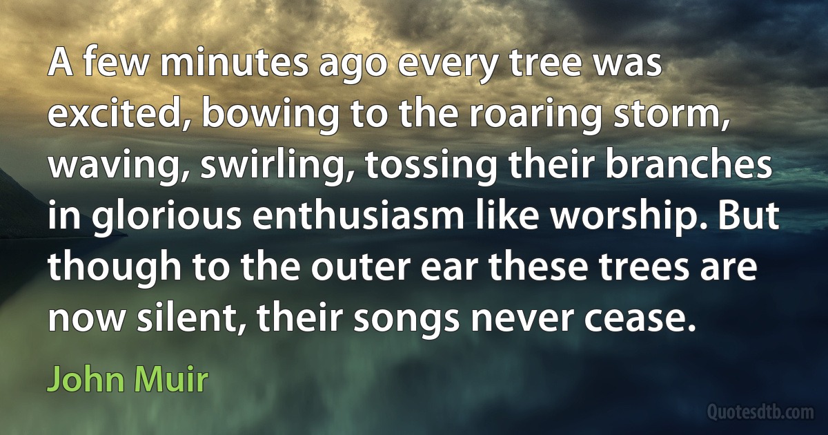 A few minutes ago every tree was excited, bowing to the roaring storm, waving, swirling, tossing their branches in glorious enthusiasm like worship. But though to the outer ear these trees are now silent, their songs never cease. (John Muir)