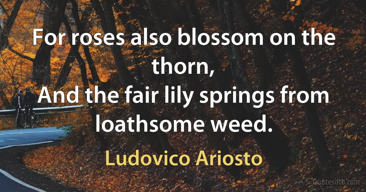 For roses also blossom on the thorn,
And the fair lily springs from loathsome weed. (Ludovico Ariosto)