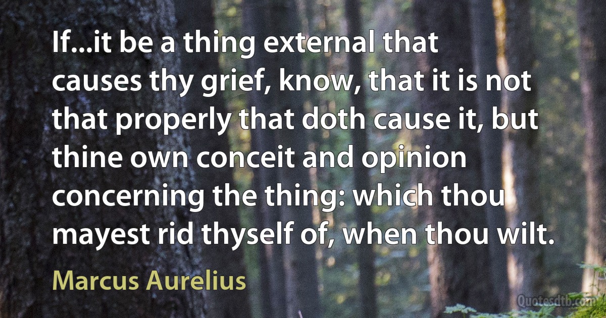 If...it be a thing external that causes thy grief, know, that it is not that properly that doth cause it, but thine own conceit and opinion concerning the thing: which thou mayest rid thyself of, when thou wilt. (Marcus Aurelius)