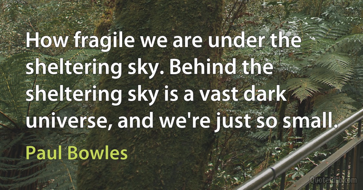 How fragile we are under the sheltering sky. Behind the sheltering sky is a vast dark universe, and we're just so small. (Paul Bowles)