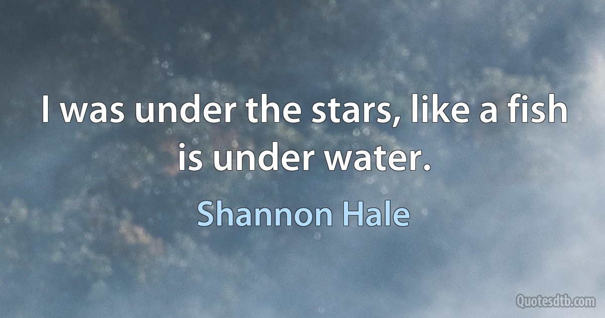 I was under the stars, like a fish is under water. (Shannon Hale)