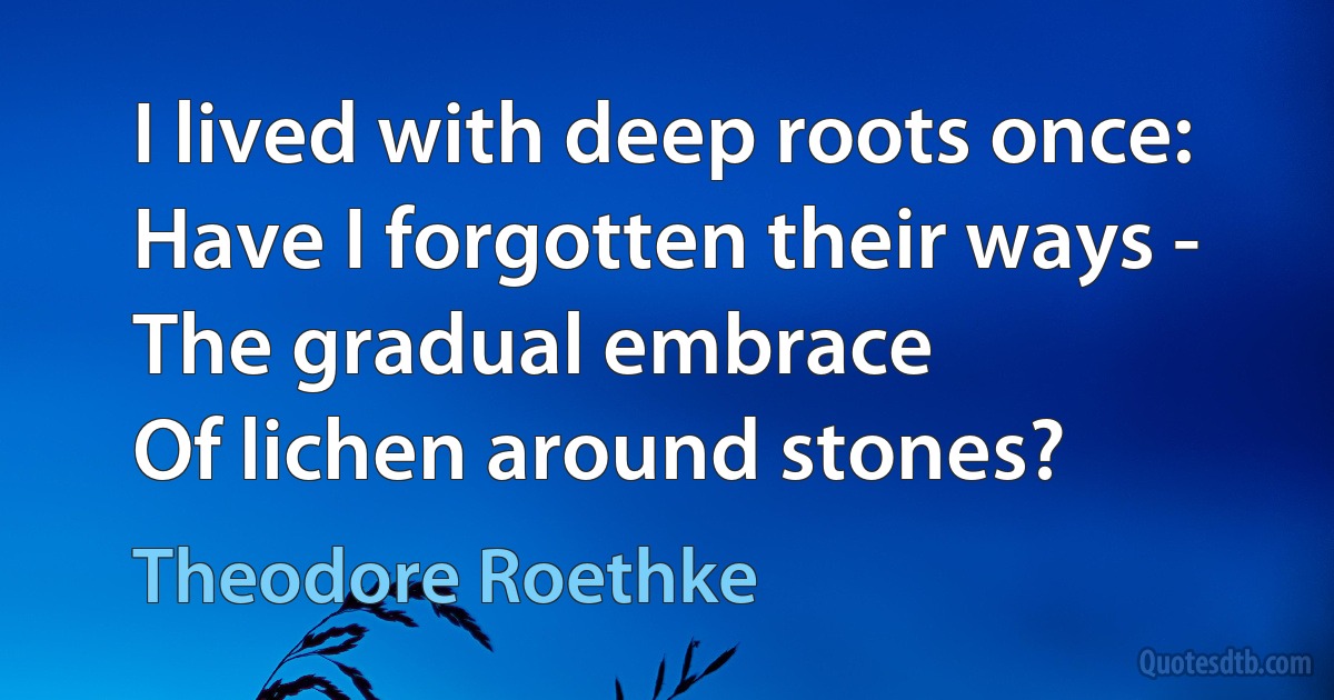 I lived with deep roots once:
Have I forgotten their ways -
The gradual embrace
Of lichen around stones? (Theodore Roethke)