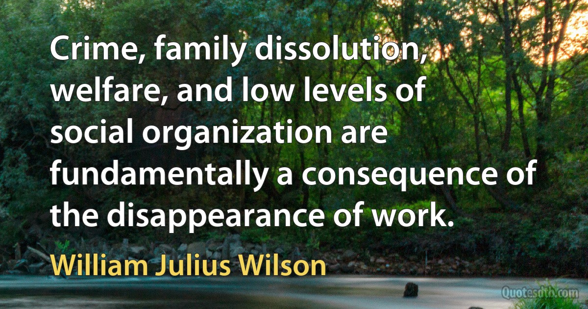 Crime, family dissolution, welfare, and low levels of social organization are fundamentally a consequence of the disappearance of work. (William Julius Wilson)