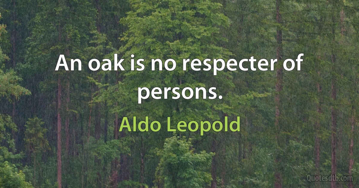 An oak is no respecter of persons. (Aldo Leopold)