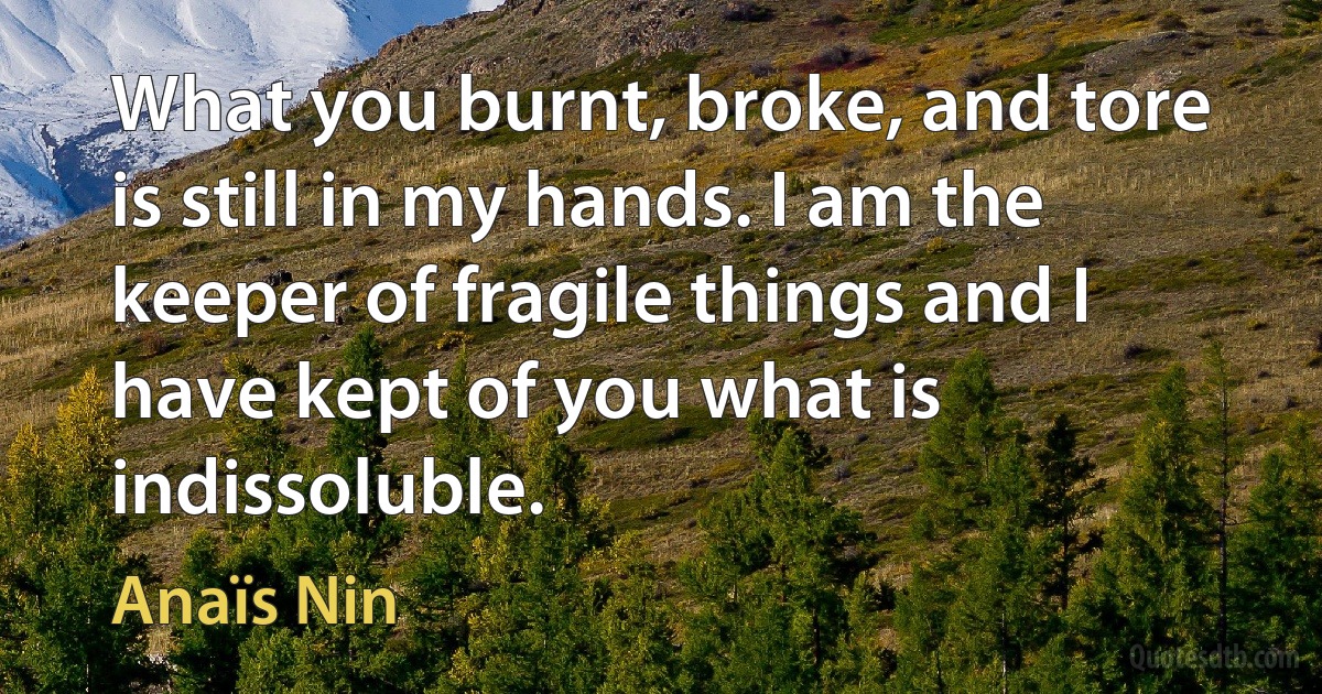 What you burnt, broke, and tore is still in my hands. I am the keeper of fragile things and I have kept of you what is indissoluble. (Anaïs Nin)