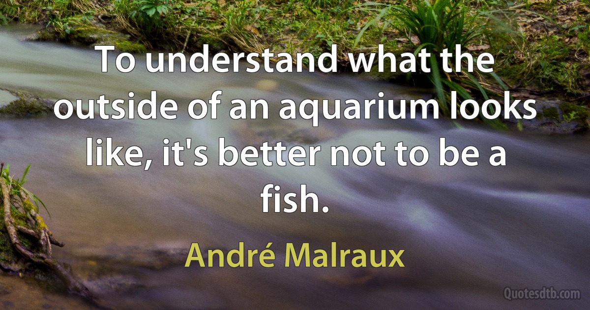 To understand what the outside of an aquarium looks like, it's better not to be a fish. (André Malraux)