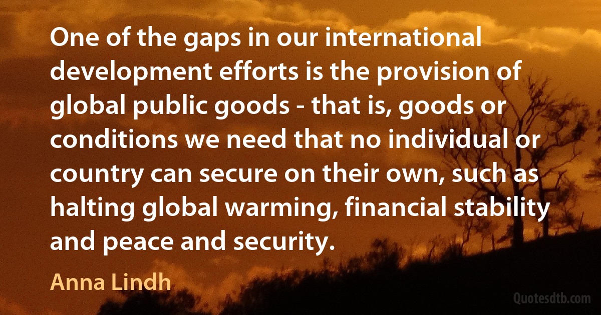 One of the gaps in our international development efforts is the provision of global public goods - that is, goods or conditions we need that no individual or country can secure on their own, such as halting global warming, financial stability and peace and security. (Anna Lindh)