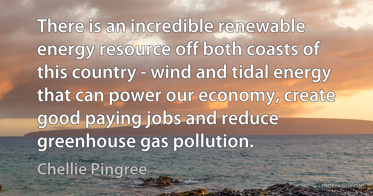 There is an incredible renewable energy resource off both coasts of this country - wind and tidal energy that can power our economy, create good paying jobs and reduce greenhouse gas pollution. (Chellie Pingree)