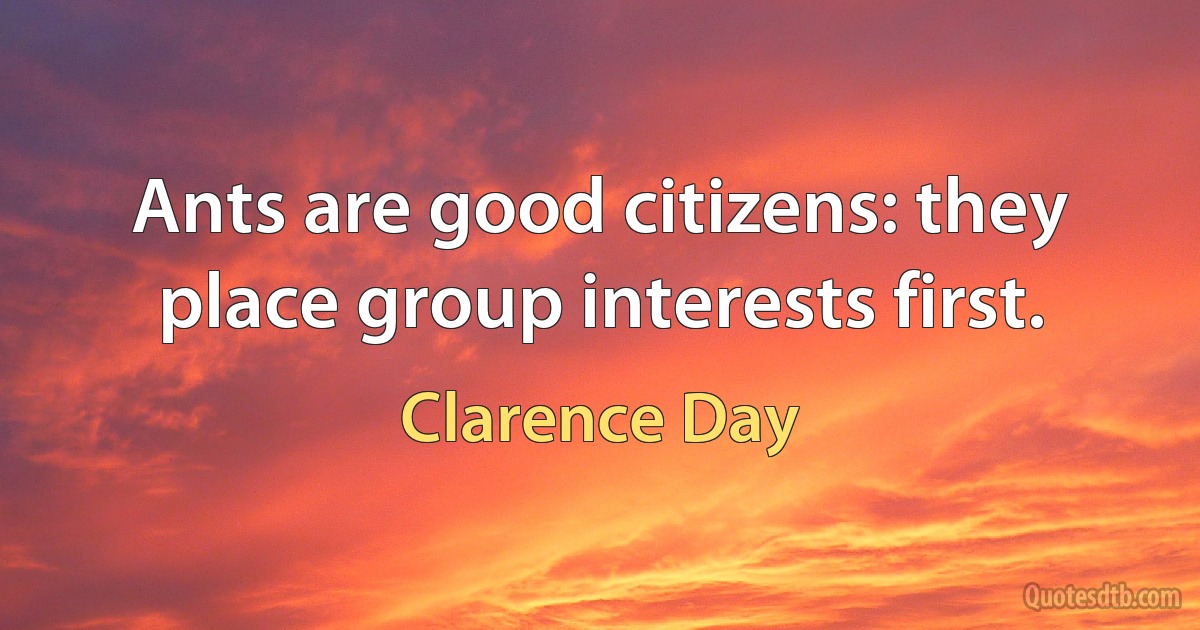 Ants are good citizens: they place group interests first. (Clarence Day)