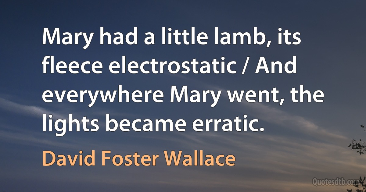 Mary had a little lamb, its fleece electrostatic / And everywhere Mary went, the lights became erratic. (David Foster Wallace)