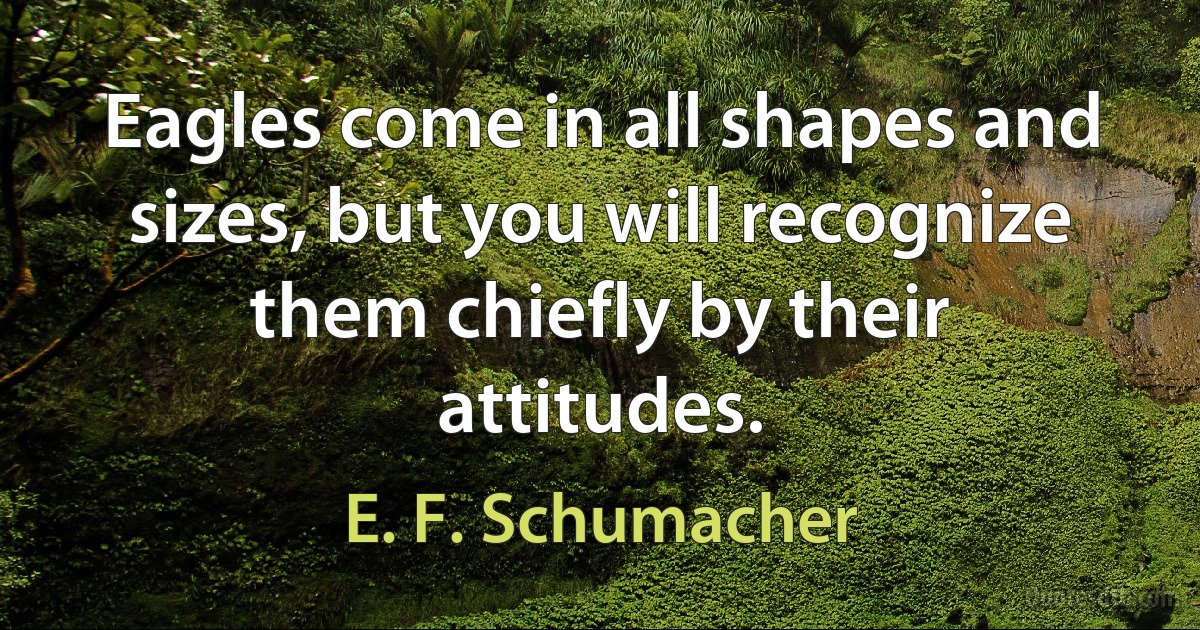 Eagles come in all shapes and sizes, but you will recognize them chiefly by their attitudes. (E. F. Schumacher)