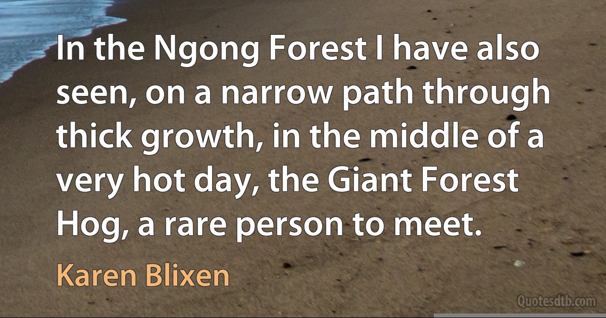 In the Ngong Forest I have also seen, on a narrow path through thick growth, in the middle of a very hot day, the Giant Forest Hog, a rare person to meet. (Karen Blixen)