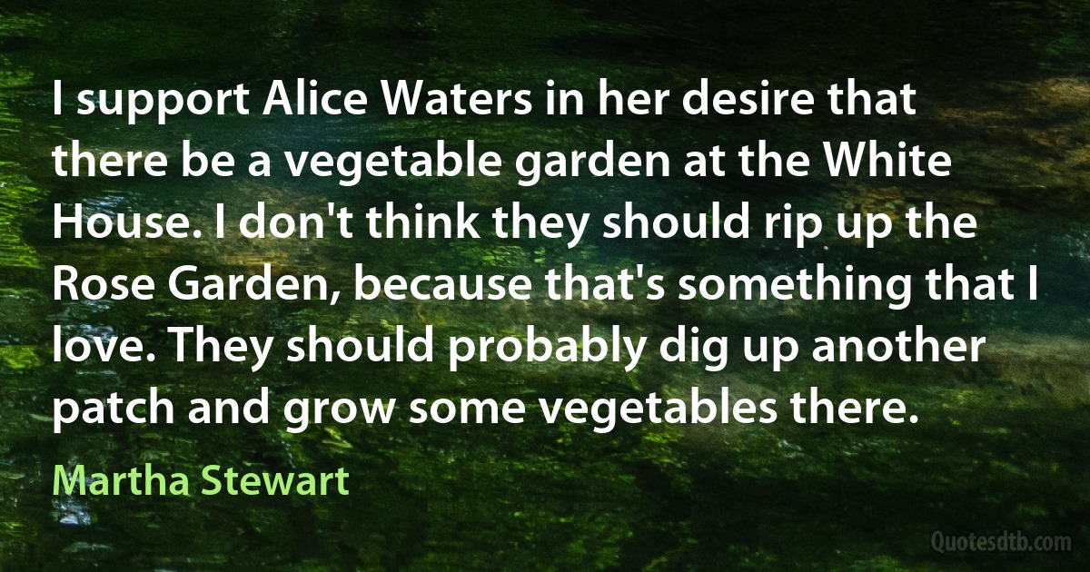 I support Alice Waters in her desire that there be a vegetable garden at the White House. I don't think they should rip up the Rose Garden, because that's something that I love. They should probably dig up another patch and grow some vegetables there. (Martha Stewart)