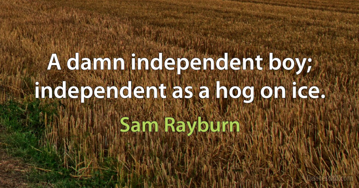 A damn independent boy; independent as a hog on ice. (Sam Rayburn)