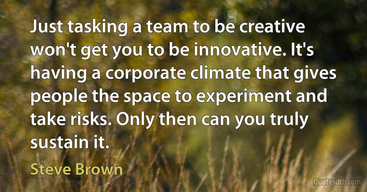 Just tasking a team to be creative won't get you to be innovative. It's having a corporate climate that gives people the space to experiment and take risks. Only then can you truly sustain it. (Steve Brown)