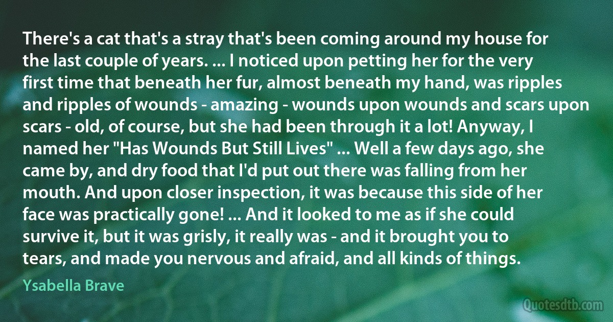 There's a cat that's a stray that's been coming around my house for the last couple of years. ... I noticed upon petting her for the very first time that beneath her fur, almost beneath my hand, was ripples and ripples of wounds - amazing - wounds upon wounds and scars upon scars - old, of course, but she had been through it a lot! Anyway, I named her "Has Wounds But Still Lives" ... Well a few days ago, she came by, and dry food that I'd put out there was falling from her mouth. And upon closer inspection, it was because this side of her face was practically gone! ... And it looked to me as if she could survive it, but it was grisly, it really was - and it brought you to tears, and made you nervous and afraid, and all kinds of things. (Ysabella Brave)