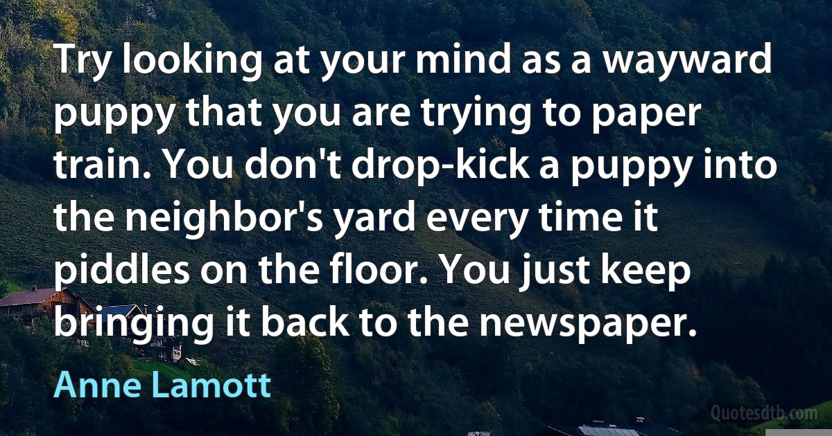 Try looking at your mind as a wayward puppy that you are trying to paper train. You don't drop-kick a puppy into the neighbor's yard every time it piddles on the floor. You just keep bringing it back to the newspaper. (Anne Lamott)