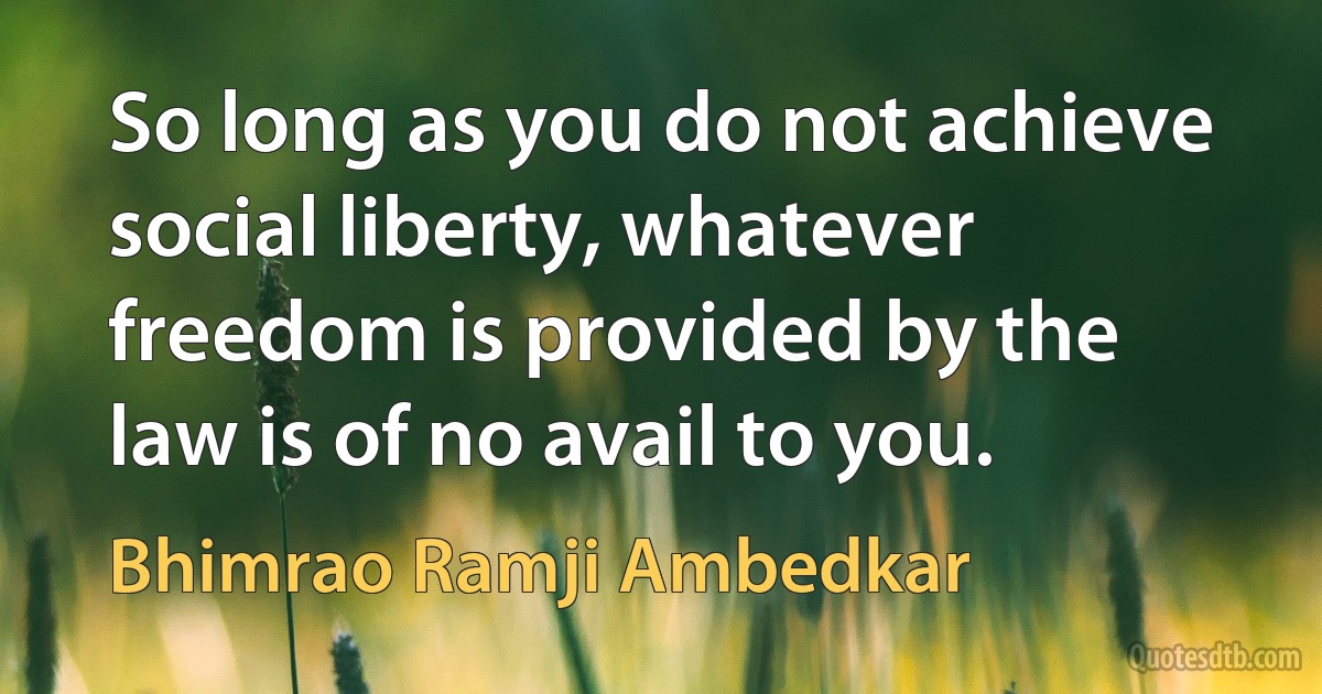 So long as you do not achieve social liberty, whatever freedom is provided by the law is of no avail to you. (Bhimrao Ramji Ambedkar)