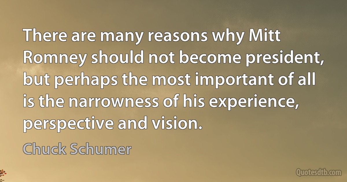 There are many reasons why Mitt Romney should not become president, but perhaps the most important of all is the narrowness of his experience, perspective and vision. (Chuck Schumer)